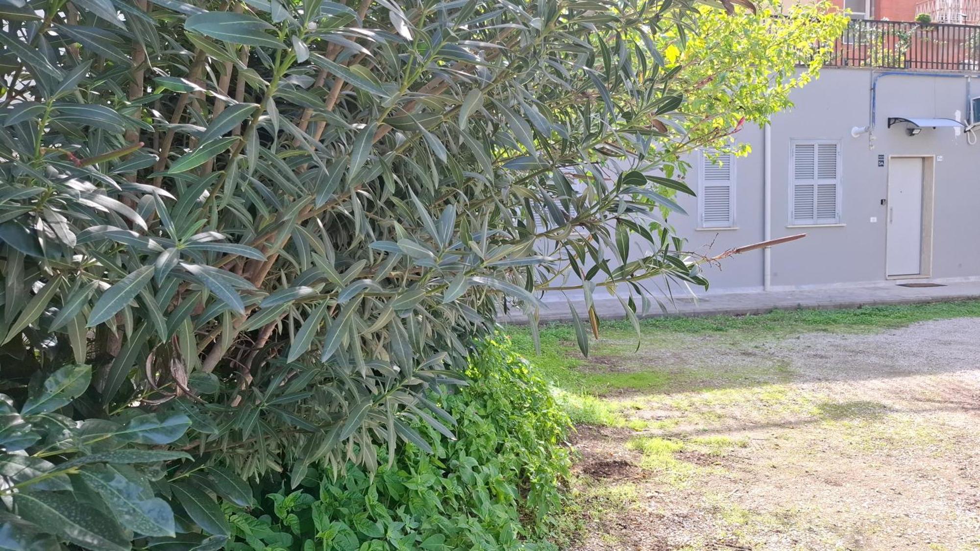 Altavilla Apartments Roma Екстериор снимка